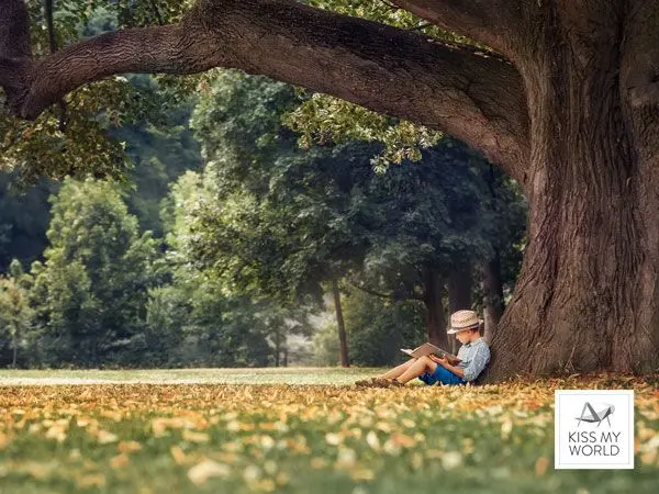 Gutschein-Motiv für den Papier à la Carte-Shop "Junge unter dem Baum"