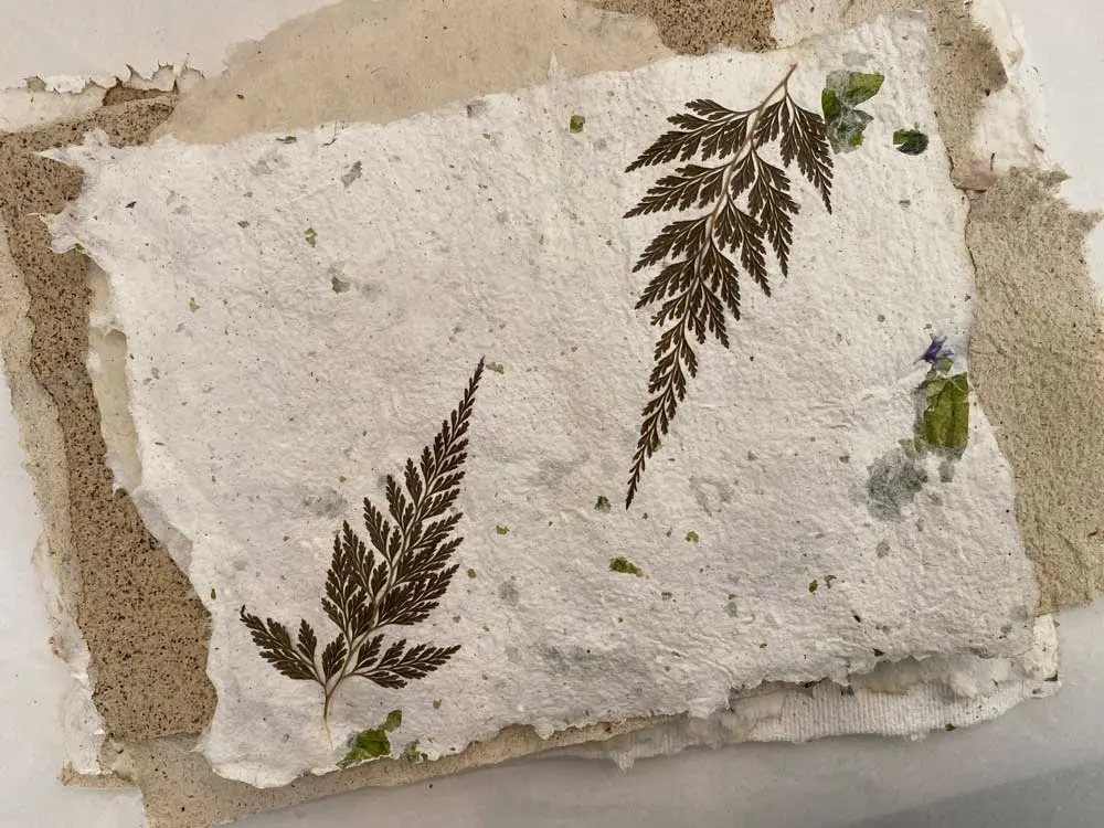 Handgeschöpftes Büttenpapier mit Pflanzenfasern und Farnprägung