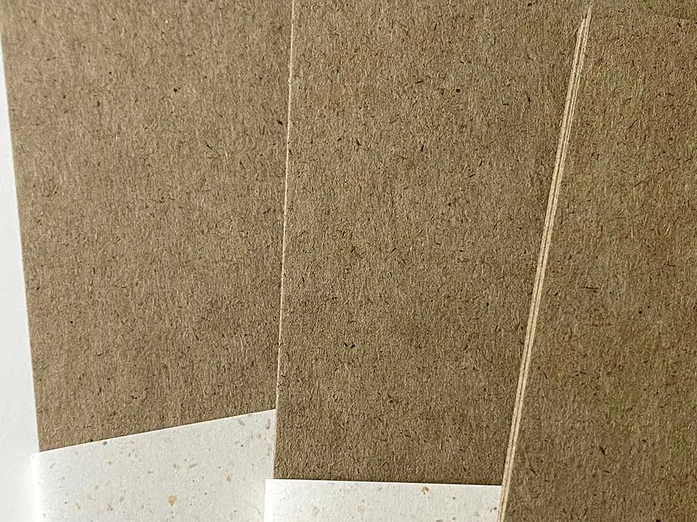 Skizzenpapier Zeichenpapier Künstlerpapier nachhaltig Silphiepapier Silphie