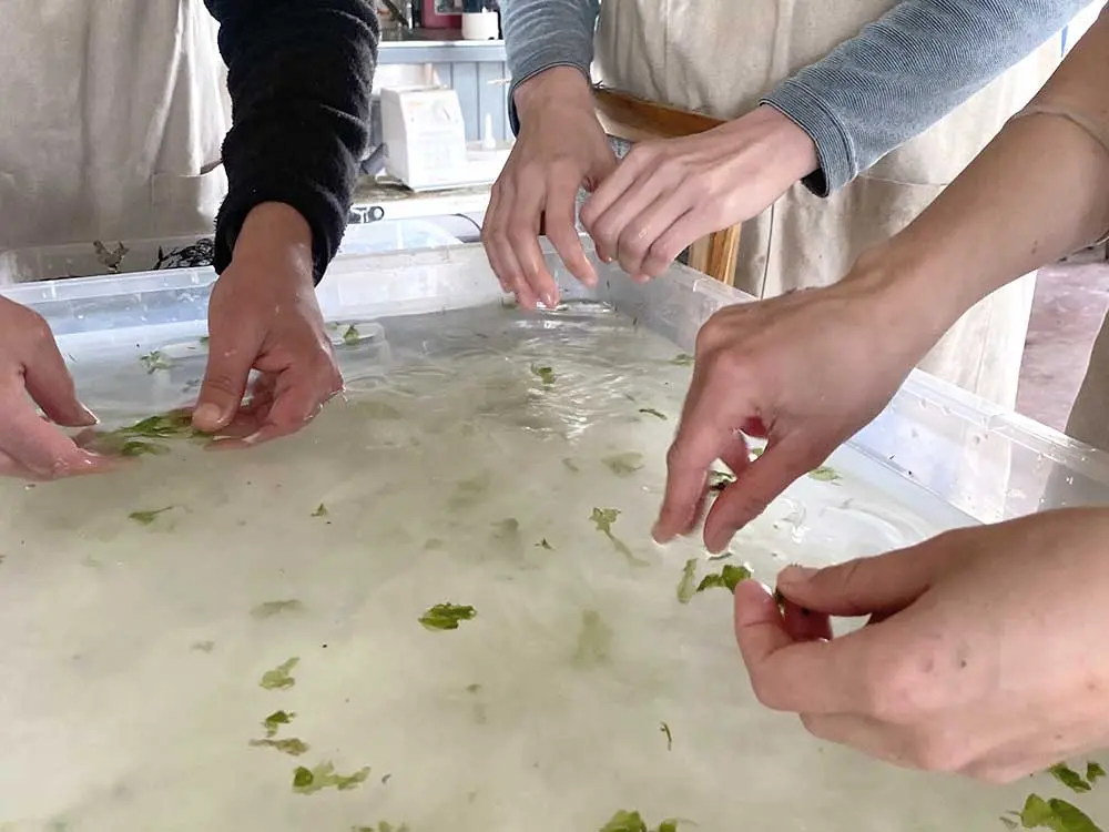 Welches Papier ist umweltfreundlich? Graspapier und Stundenplan aus Naturpapier