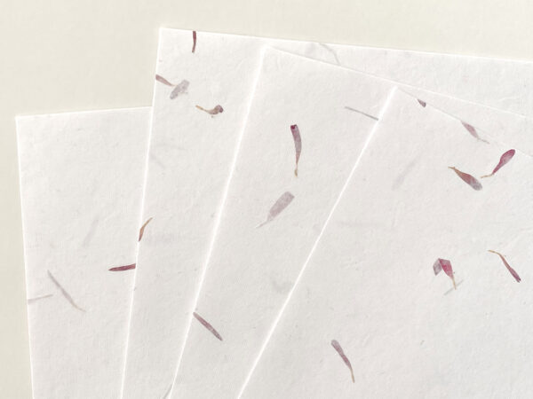 Briefpapier-Set Astern – Handgeschöpftes Baumwollpapier – Bild 5