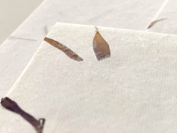 Briefpapier-Set Astern – Handgeschöpftes Baumwollpapier – Bild 3