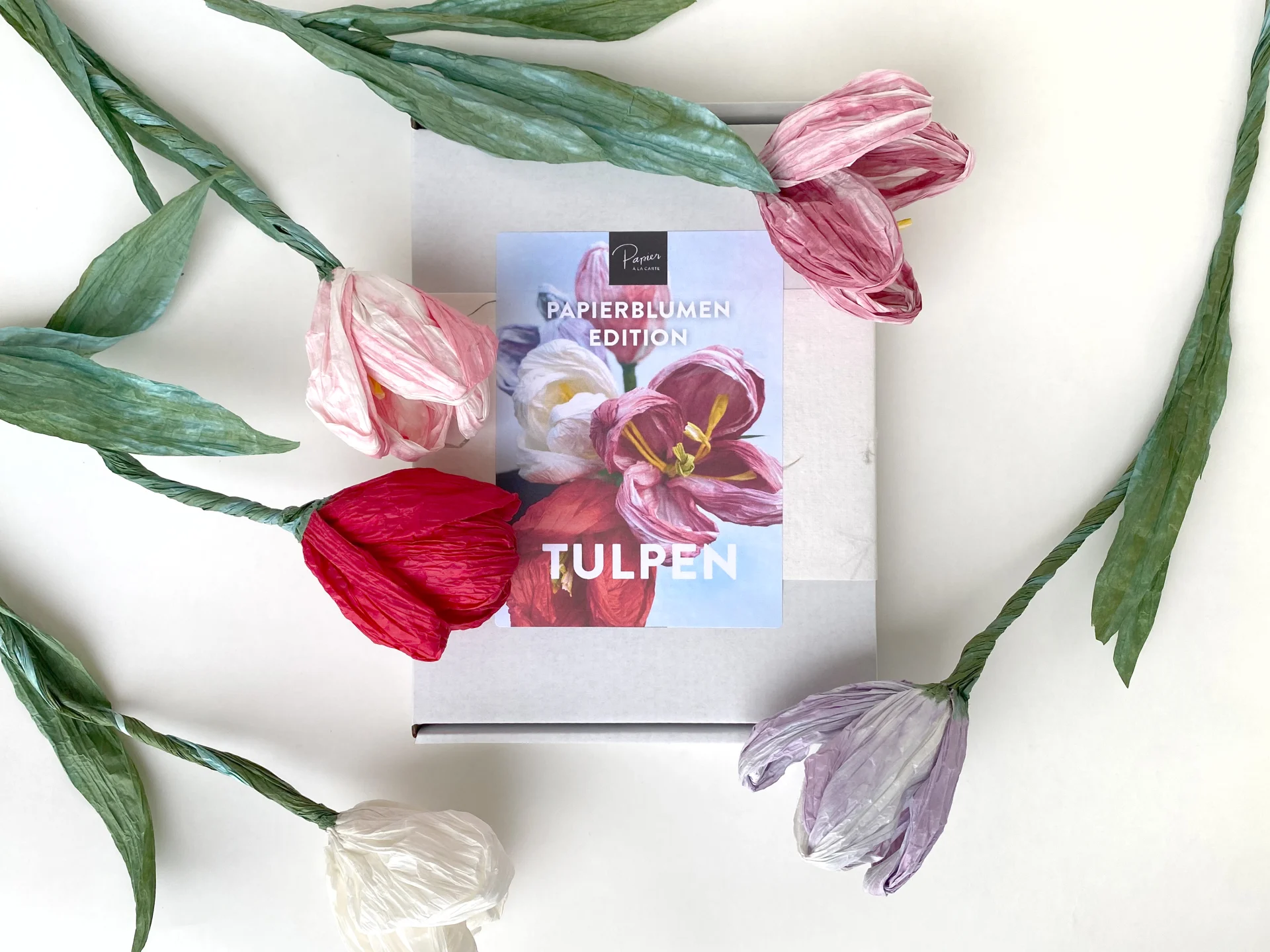 DIY‑Tulpenset aus finnischem Papiergarn mit farbigen Papier‑Tulpen und Geschenkbox.