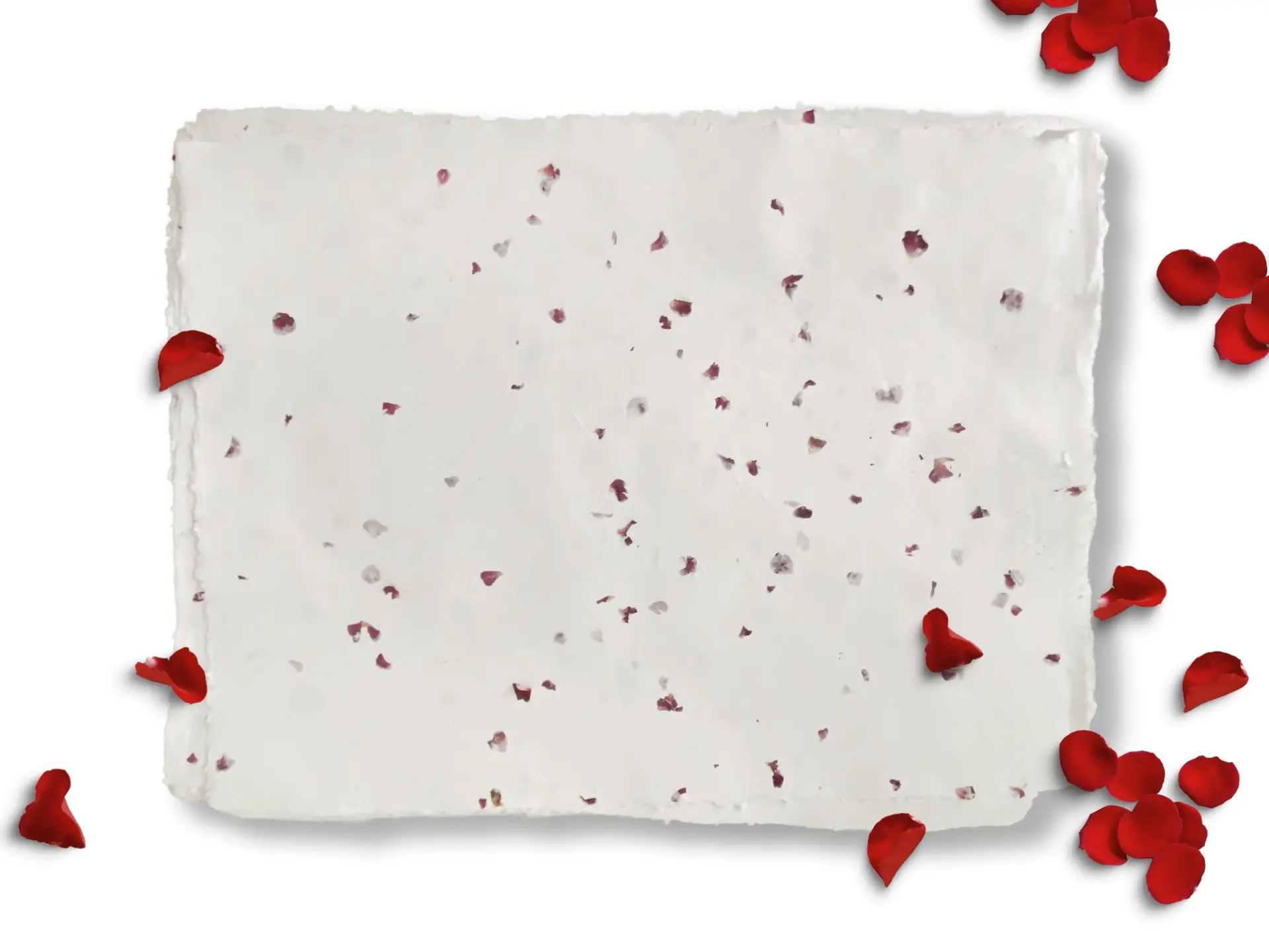Handgeschöpfter Großbogen Rosen-Blütenpapier aus Baumwolle mit echten Blütenblättern