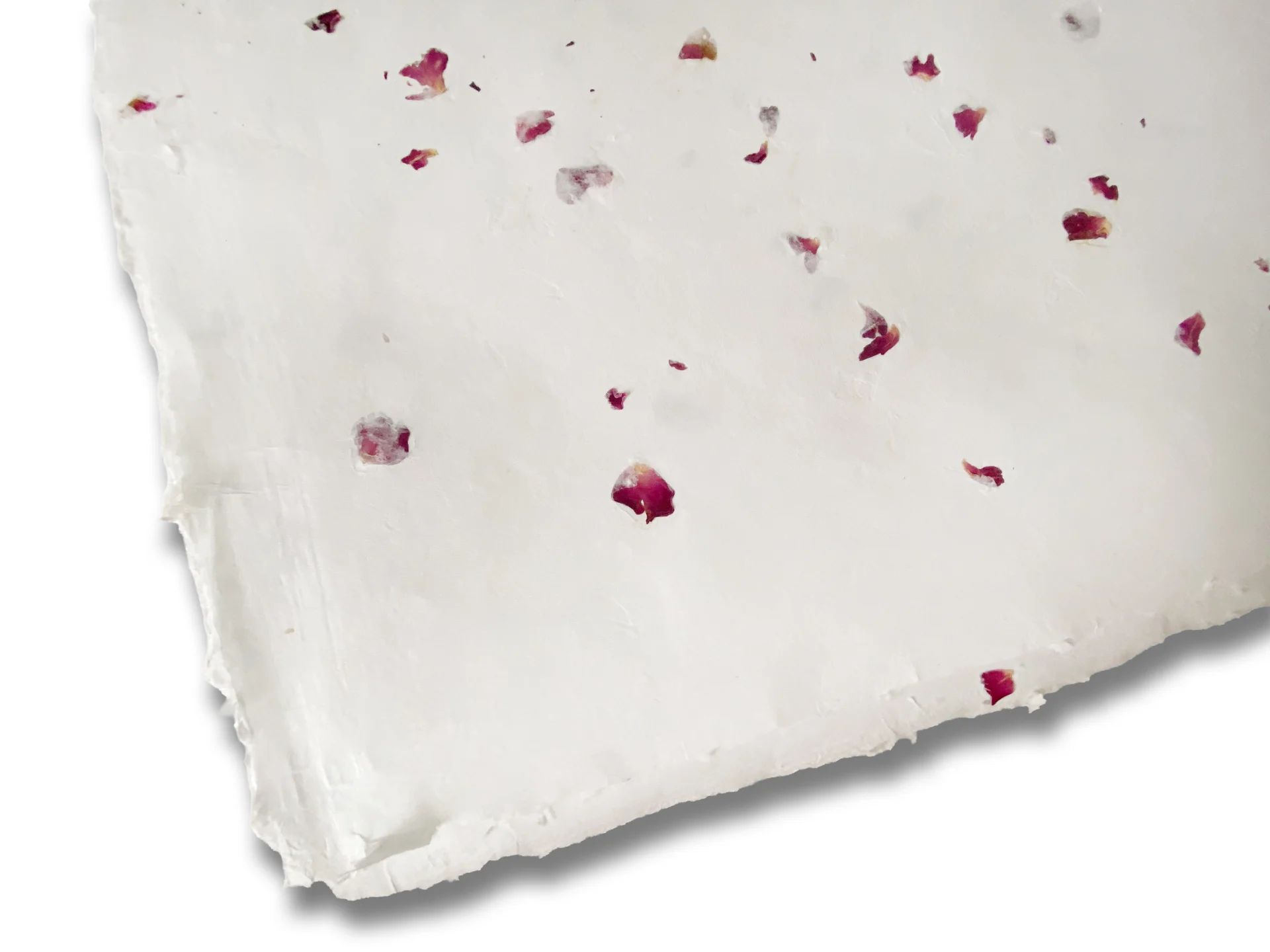 Echte Rosenblüten im handgeschöpften Büttenpapier