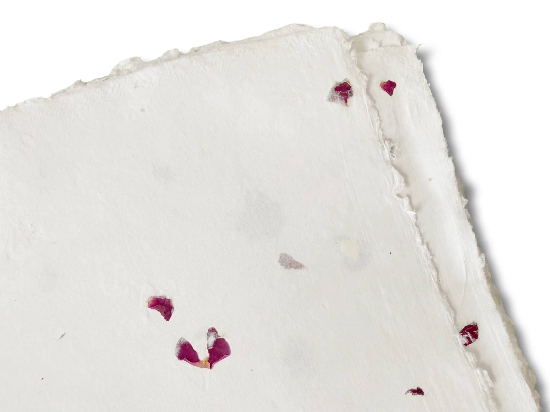 Lichtdurchlässigkeit und Faserstruktur Rosen-Blütenpapier