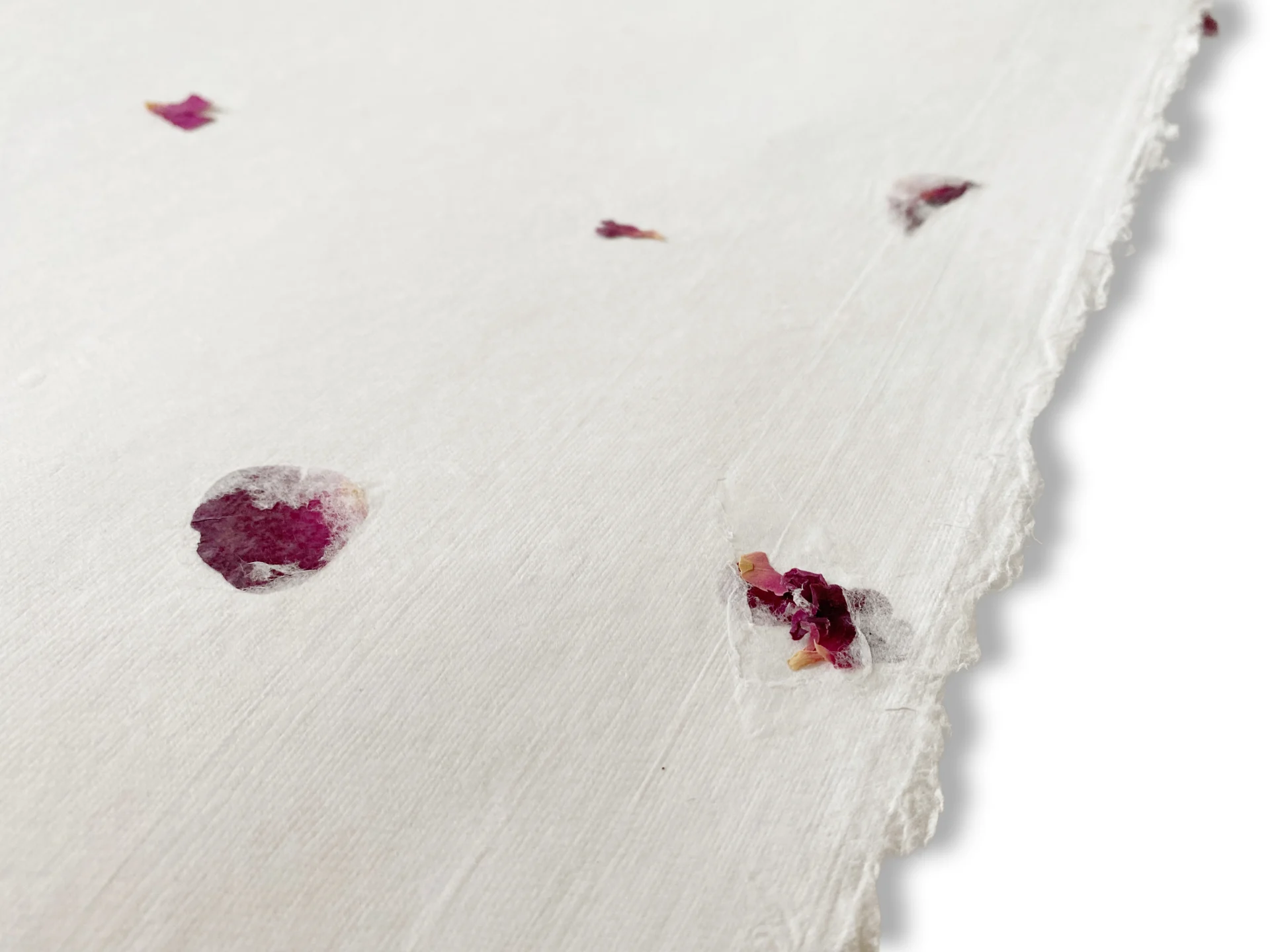 Kalligrafie und Kunst auf Rosen-Blütenpapier